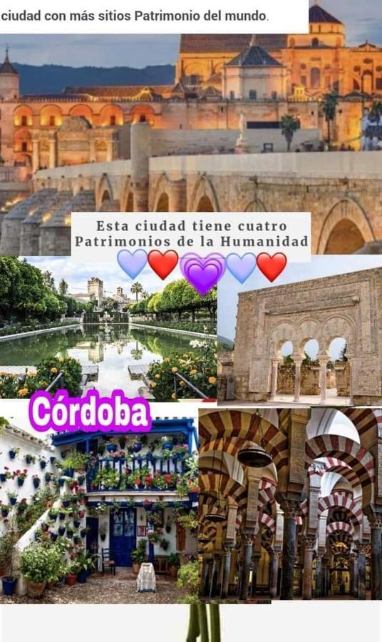 Grupo Limcotel El Paseito De Concha-Mesquita-Parking Cordoba Ngoại thất bức ảnh